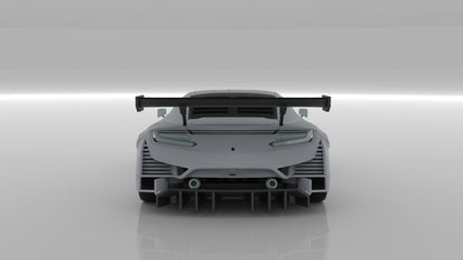 NSX GT3 EVO END